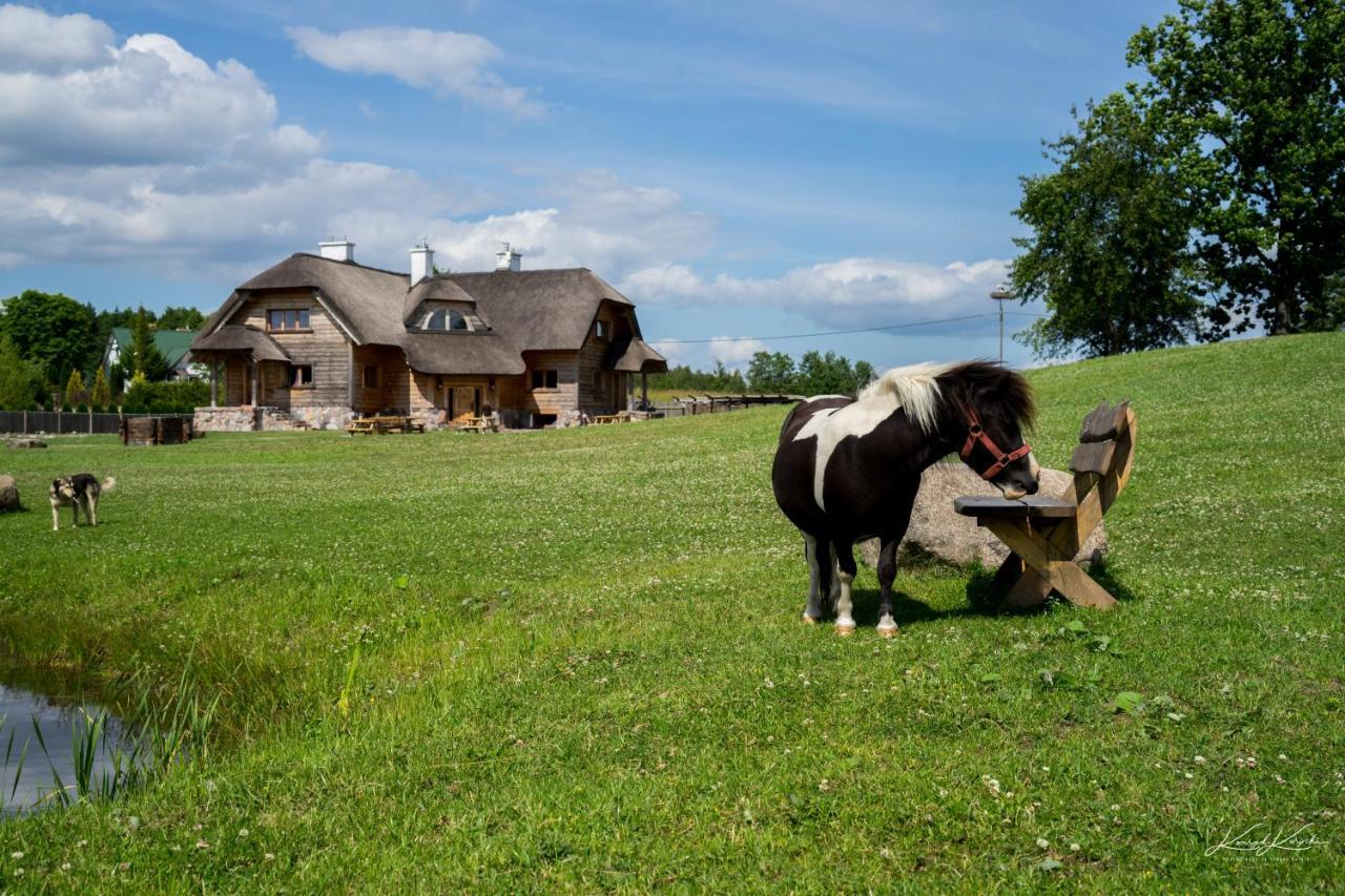 Siedlisko Wigry Bed and Breakfast Rosochaty Rog Exteriör bild