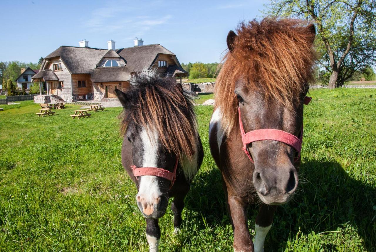 Siedlisko Wigry Bed and Breakfast Rosochaty Rog Exteriör bild